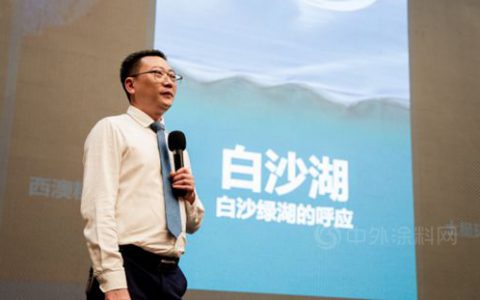中国风景变风景涂料，嘉宝莉敢想敢干 ——中外涂料网访嘉宝莉艺术涂料项目总监彭元聪