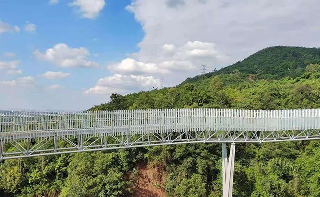 基建狂魔 | 跨越山川河流 宝塔山漆为桥梁护航