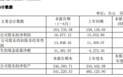这个涂企上半年增收反降利  因为…