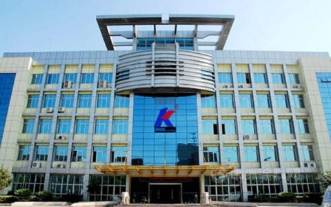 上半年暴亏308%，这家涂企下半年转战新能源
