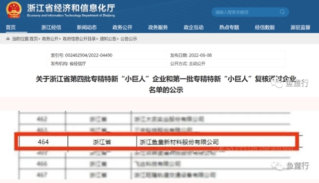 鱼童成功入选国家级专精特新“小巨人”企业