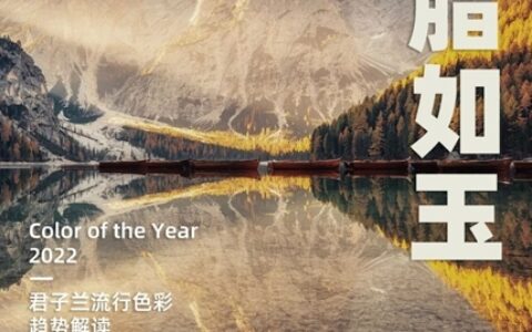 凝脂如玉 | 白露苍苍，凝脂玉无双 | 2022君子兰流行色彩趋势