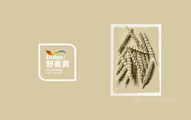 多乐士2023全球色彩趋势正式发布 野麦黄让生活随心而野