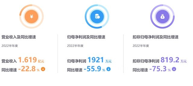 净利下滑55.86% 这家上市涂企下半年这样出招