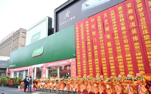 三棵树安徽形象店盛大开业，加速零售市场战略布局