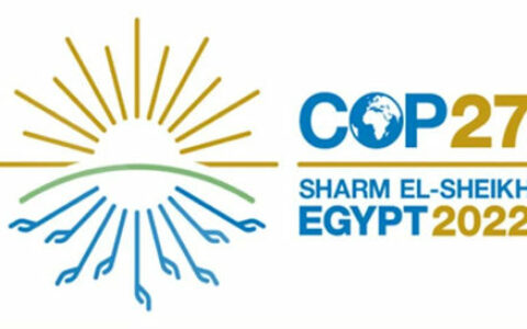 海虹老人参加COP27大会旨在推动实现脱碳未来