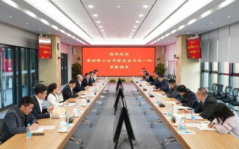 工信部原材料工业司司长陈克龙一行到北新建材考察指导