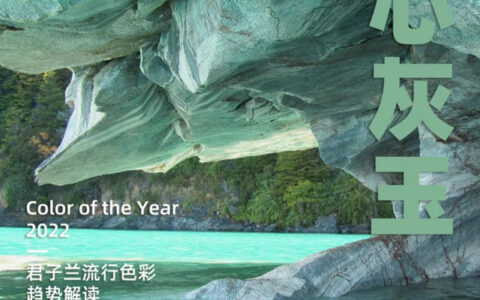 冰心灰玉 | 小雪 | 2022君子兰流行色彩趋势