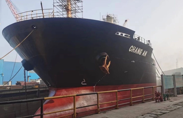 鱼童为长昌海运多艘巨轮提供船体防护解决方案