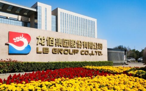 龙佰集团荣获全国制造业单项冠军示范企业！