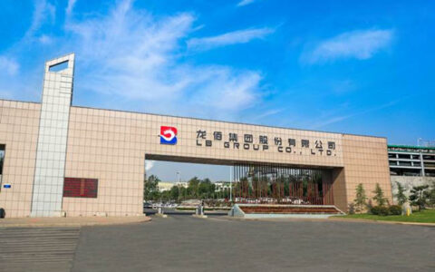 龙佰集团荣获“河南省杰出民营企业”