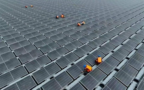 双瑞涂料助力国能聊城200MW淡水湖光伏项目顺利并网发电