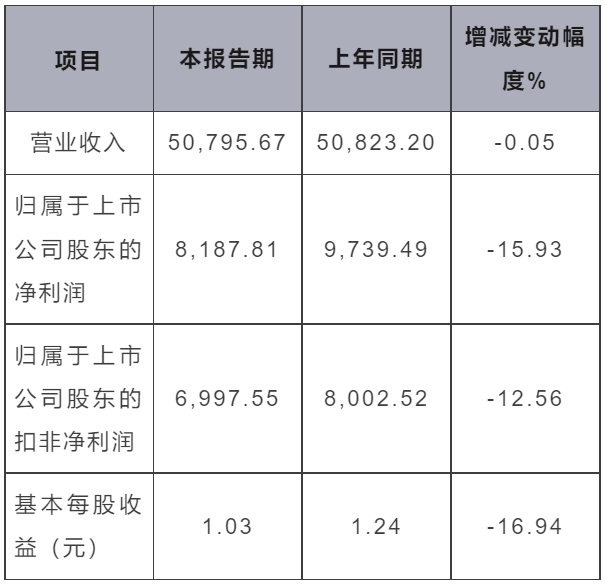 松井股份：2022年度业绩快报