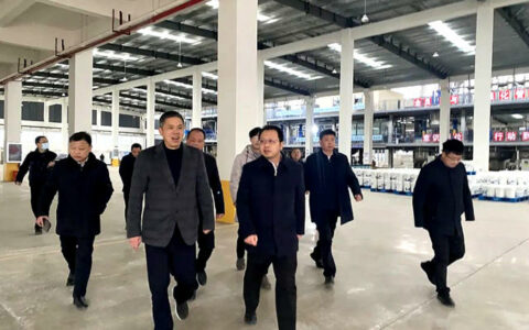 湖北省安陆市市委副书记、市长黄国威率队莅临湖北德尔福新材料科技