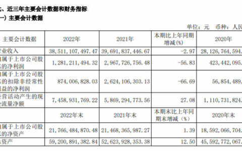净利润腰斩！上海华谊集团去年营收385.11亿元，涂料及树脂营收 9.69亿元