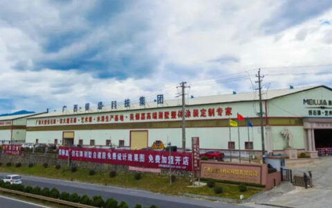 美俪嘉扶正！涂料龙头的曾用名，你还知道几个