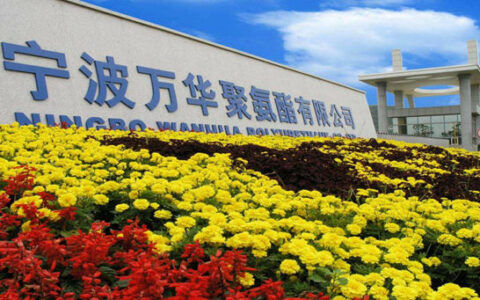 6.3亿！5万吨！投产！净利润明年将破200亿