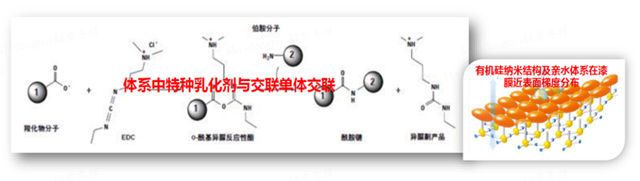 巴德富新品上市|低碳高兼容罩面乳液RS-996CD