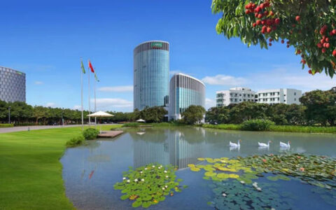 三棵树：毛利率持续改善，二季度盈利创历史最佳