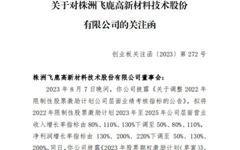 飞鹿股份收深交所关注函