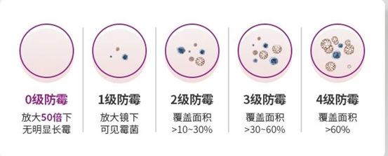 家的星级优选，美涂士美之星墙面漆系列全新上市！