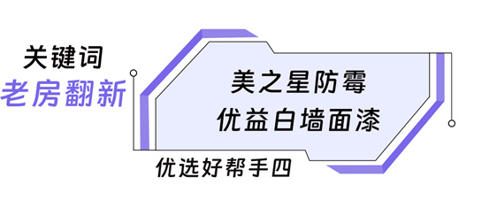 家的星级优选，美涂士美之星墙面漆系列全新上市！