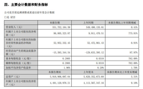 暴增775.81%！上海新阳上半年净利狂飙