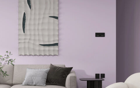 小红书家居达人走心推荐美涂士：纯色小羊皮让家装如此惊艳