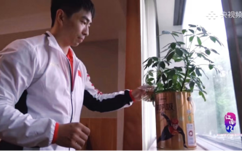 运动员搬进健康新家，三棵树频频为中国体育“助攻”