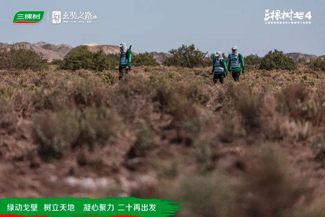 绿动戈壁·树立天地丨戈4第二日：穿越盐碱地，征服“火焰山”