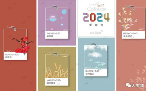 趋势解读│大宝设彩家2024年度关键色