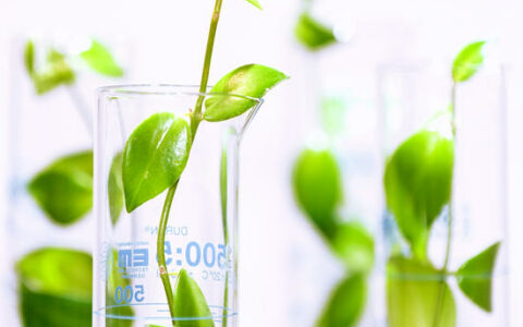 赢创推出TEGO® Foamex 8880消泡剂乳液，兼具硅氧烷和生物基材料的优良特性