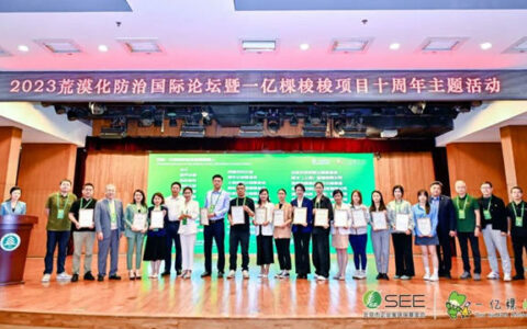 “一亿棵梭梭树”十周年，三棵树助力建设荒漠中的绿色屏障