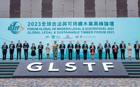 展辰成全球木业高峰论坛上唯一荣获三大奖项的中国涂料企业