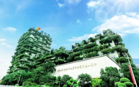 将14个区域合并成7个！碧桂园重大调整