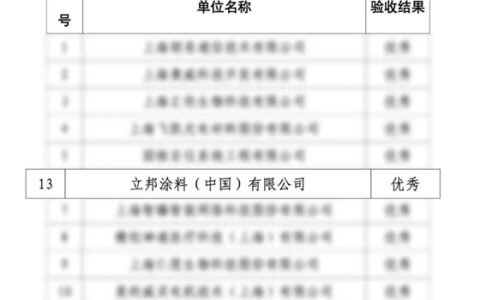 立邦通过上海市专利示范项目验收并获评优秀结果