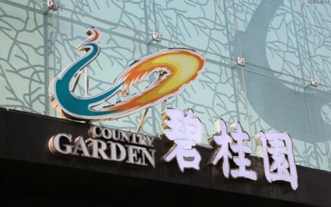 杨二小姐能否力挽狂澜？碧桂园的背水一战