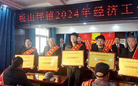 广源集团河南南召公司荣获“纳税大户”称号