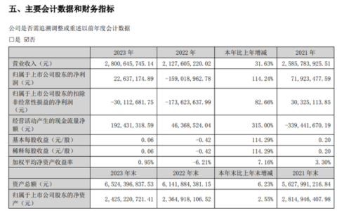 净利润扭亏为盈！这家涂企龙头营收28亿增长31.63%