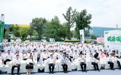 三棵树2024国漆国匠成都开赛 精工强匠顶峰对决助推行业发展
