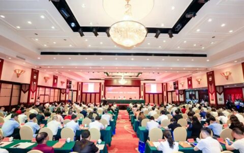 美惠携手泉州国际商会，推动海外业务新飞跃