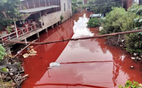 运河变成“红色” 竟与涂料有关