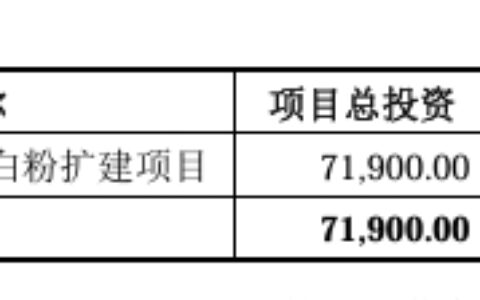 反倾销税山雨欲来，钛白龙头定增3亿扩产能