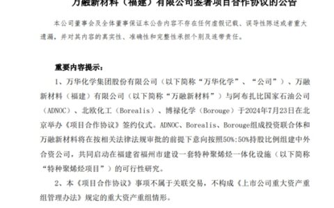 入股、增持还不够！中东富豪牵手化学茅合资投建新项目