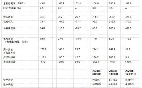 瓦克2024年Q2：销量减少致使销售额及利润下降