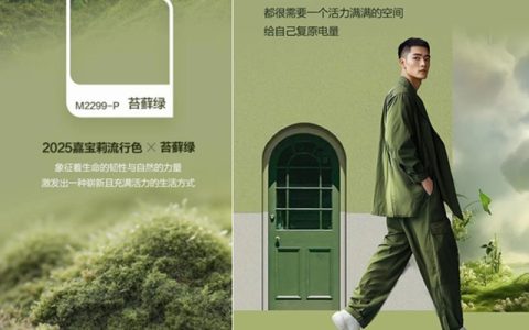 2025色彩流行趋势，哪家涂企能让你见色起意？