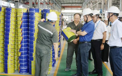 重庆化医集团纪委书记潘勇调研三峡油漆