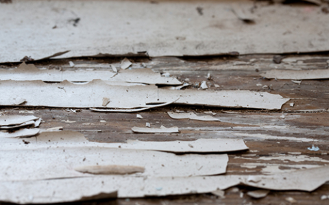 这家公司违规使用含铅涂料 面临高额罚款！