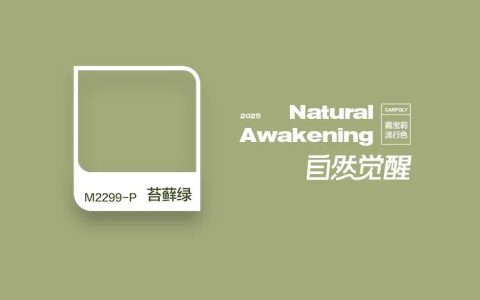 引领审美潮流，嘉宝莉2025流行色重磅发布！