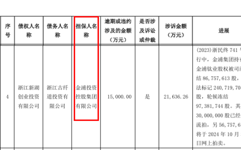 一次担保，损失2亿